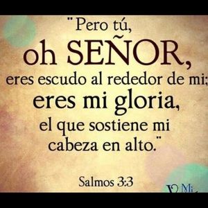 Meet your Posher, Eva patricia